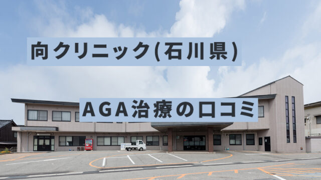 向クリニック(石川県)AGA治療口コミと評判を調査【1万円以内で安い】